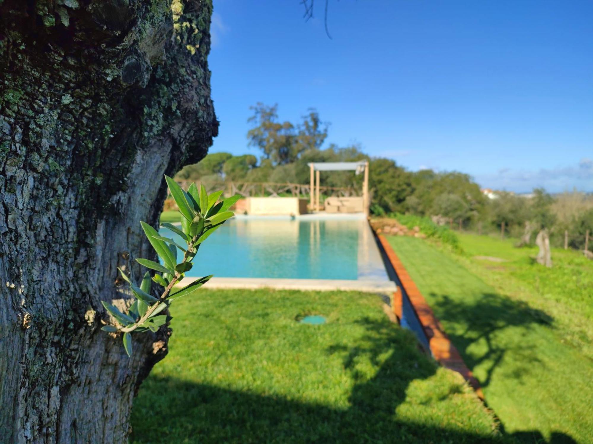 Quinta De Matrena * Macieiros