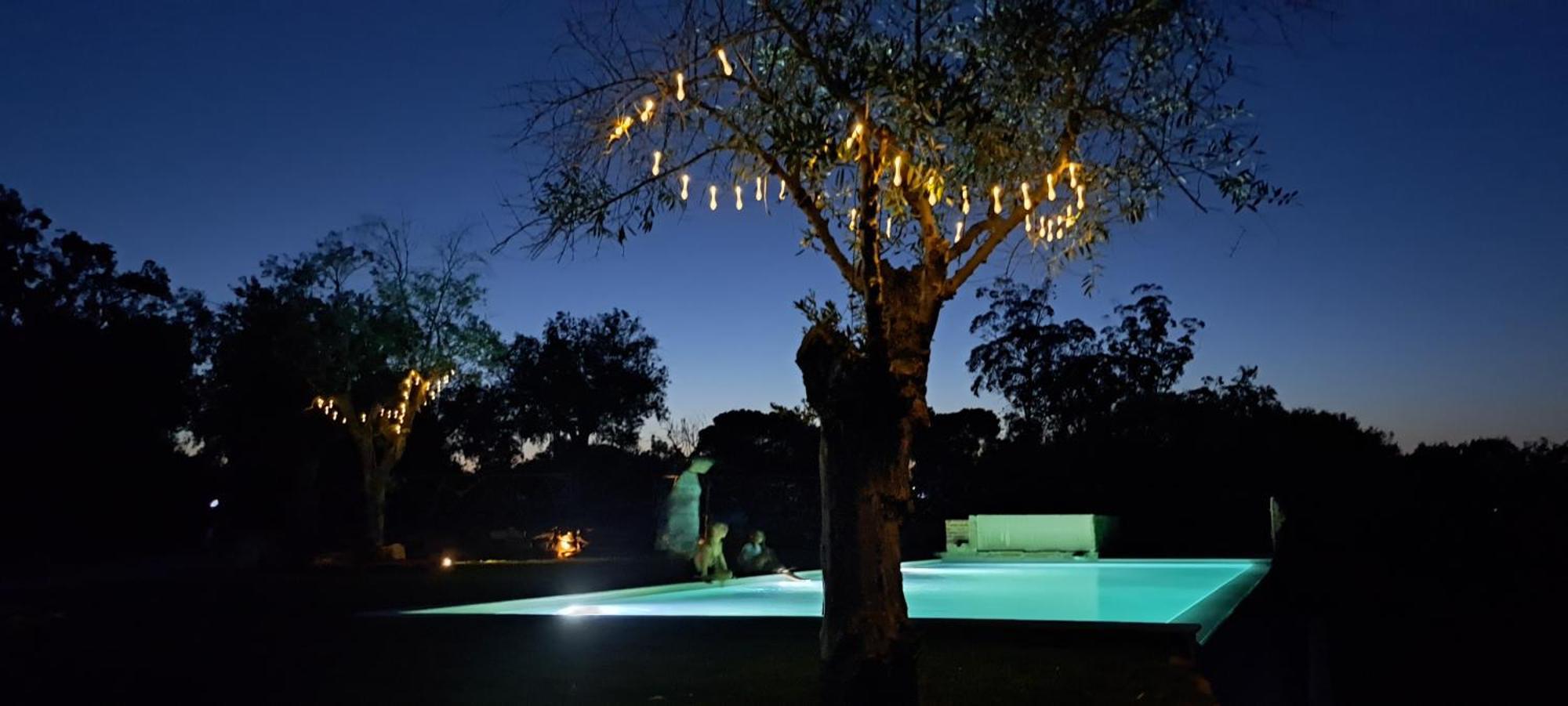 Quinta De Matrena Farm stay